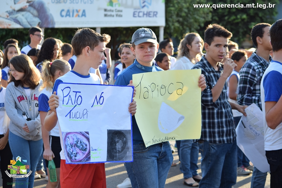 Caminhada Cívica - 7 Setembro de 2016 - Foto por Rafael Spanholi (57).JPG