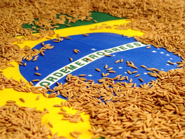 Brasil tem maior exportação de arroz dos últimos 9 anos
